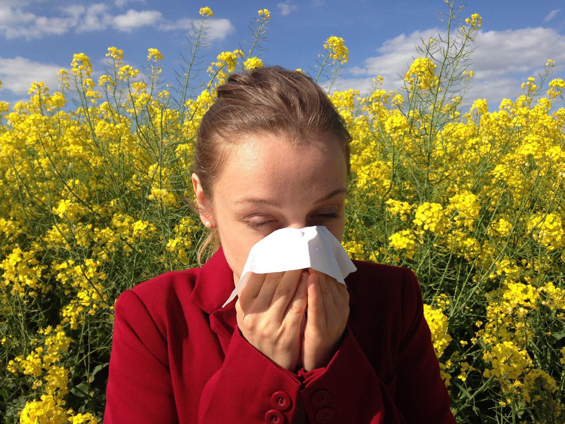 „Immunsystem stärken Allergien los werden“ Aktiv Gesund e.V.